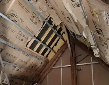 pose de bandes de plâtre Vire-Normandie-1